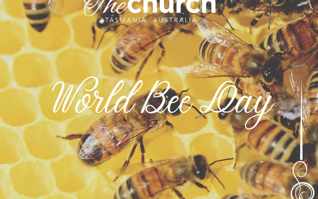 World Bee Day – Yearly on 20th May