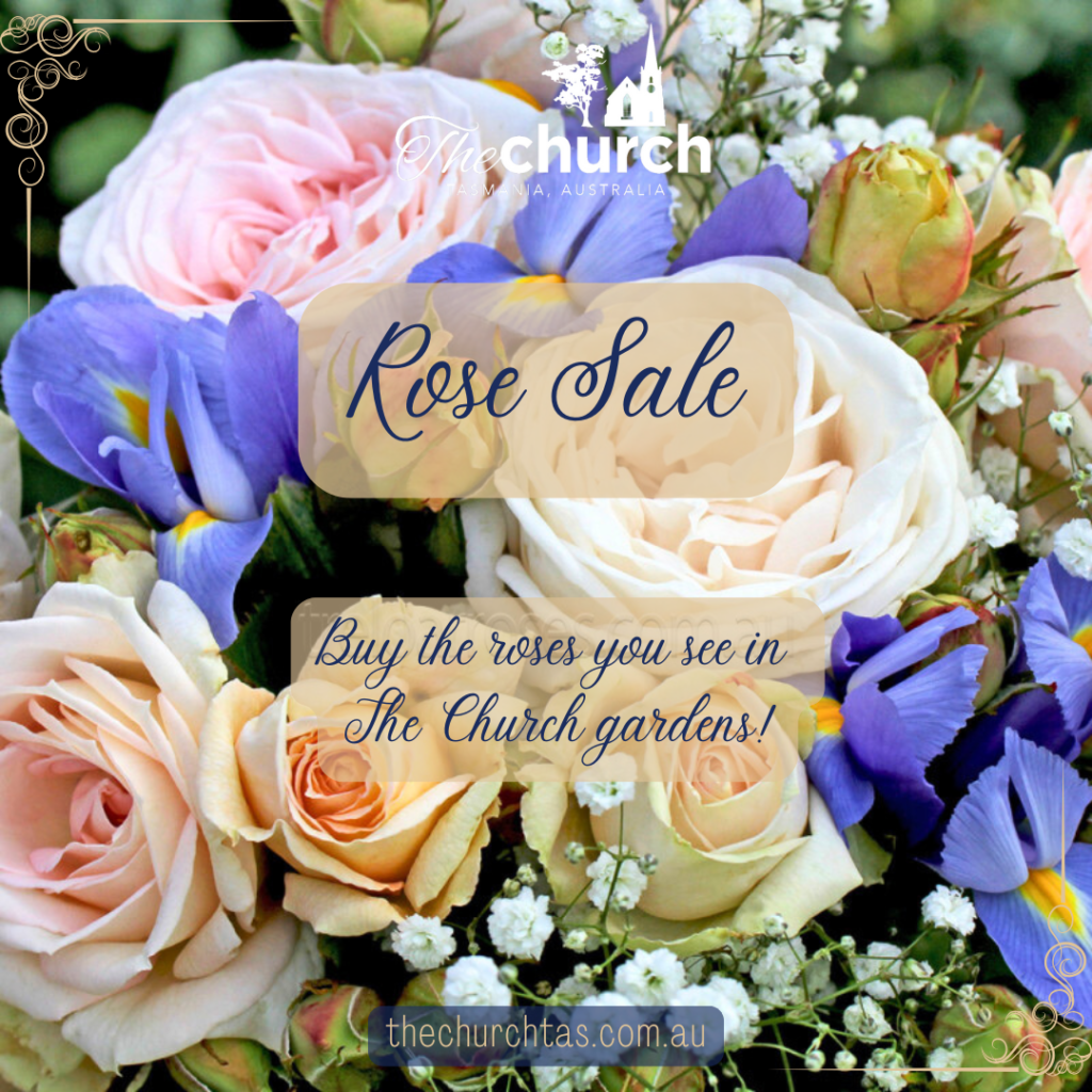 Rose Sale July The Church Campbell Town Tasmania