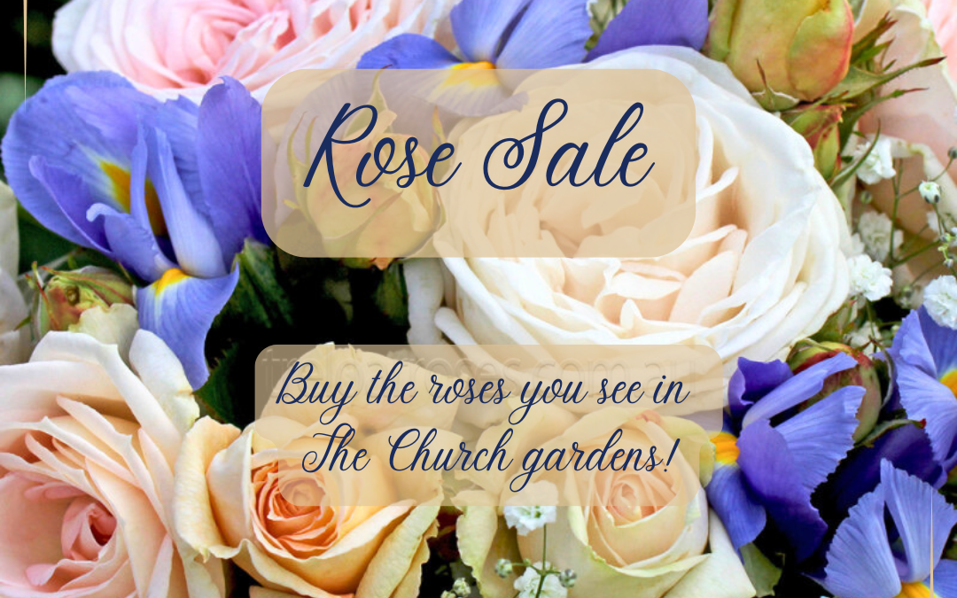 Rose Sale – September 2025