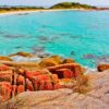 Bay of Fires Tasmania Vintage Car tours