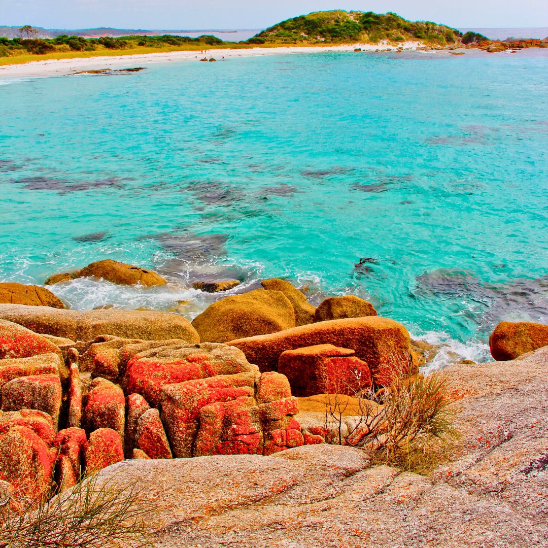 Bay of Fires Tasmania Vintage Car tours Bay of Fires Tasmania Vintage Car tours