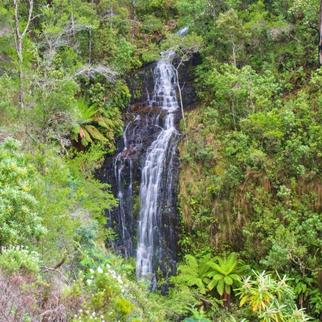 Gray Mares Tail Falls St Marys Tasmania Vintage Car tours