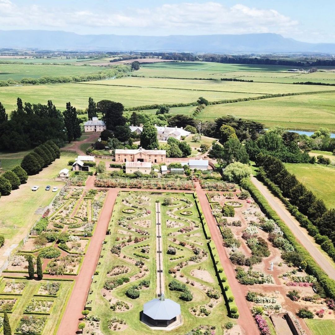 Woolmers Estate National Rose Garden Tasmania Vintage Car tours