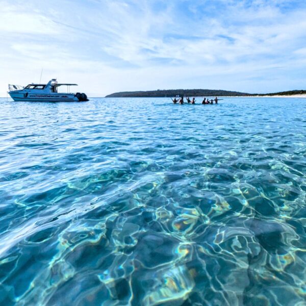 Freycinet Charters Vintage Car Tours Tasmania