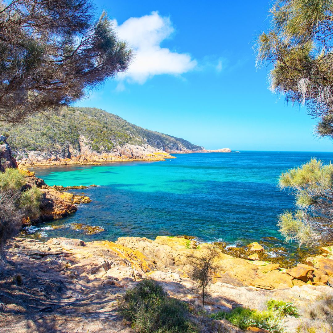 Honeymoon Bay Vintage Car Tours Tasmania