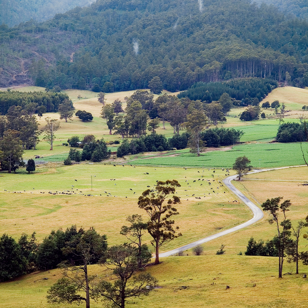 Country Roads Tasmania