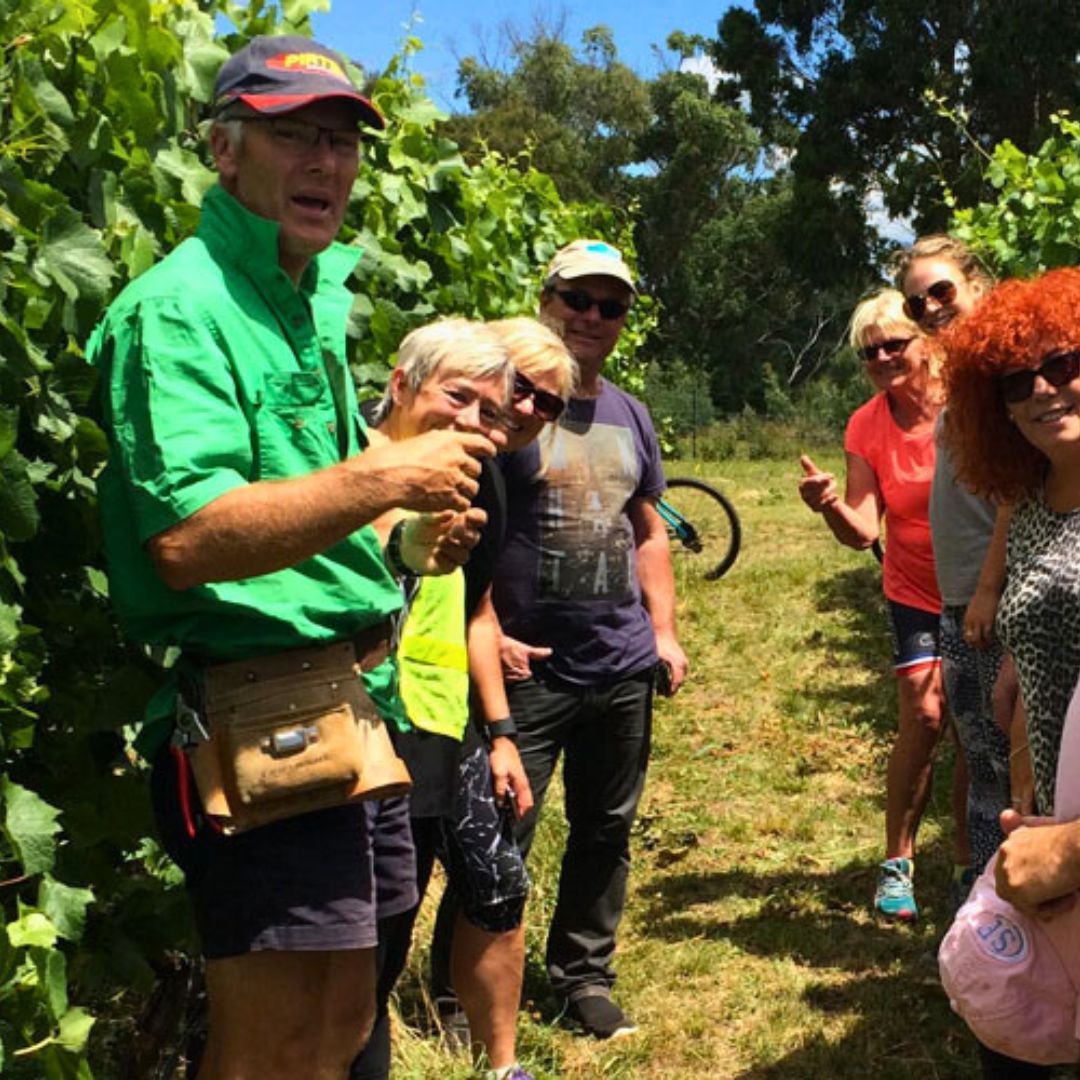 Craigie Knowe Vineyard Tour Tasmania<br />
