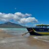 Cruise to Wineglass Bay