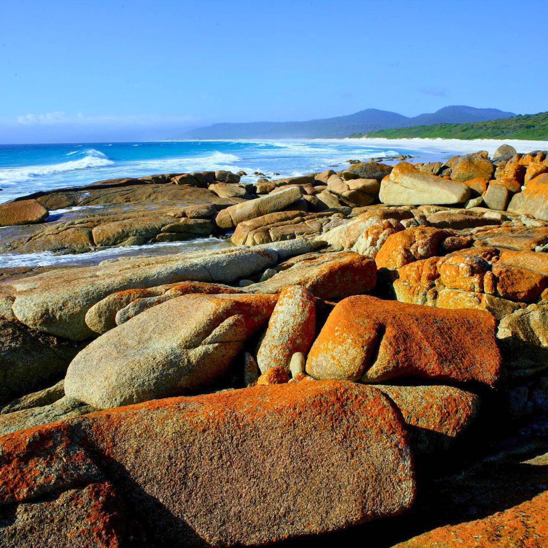 Friendly Beaches Freycinet National Park Tasmania Tour