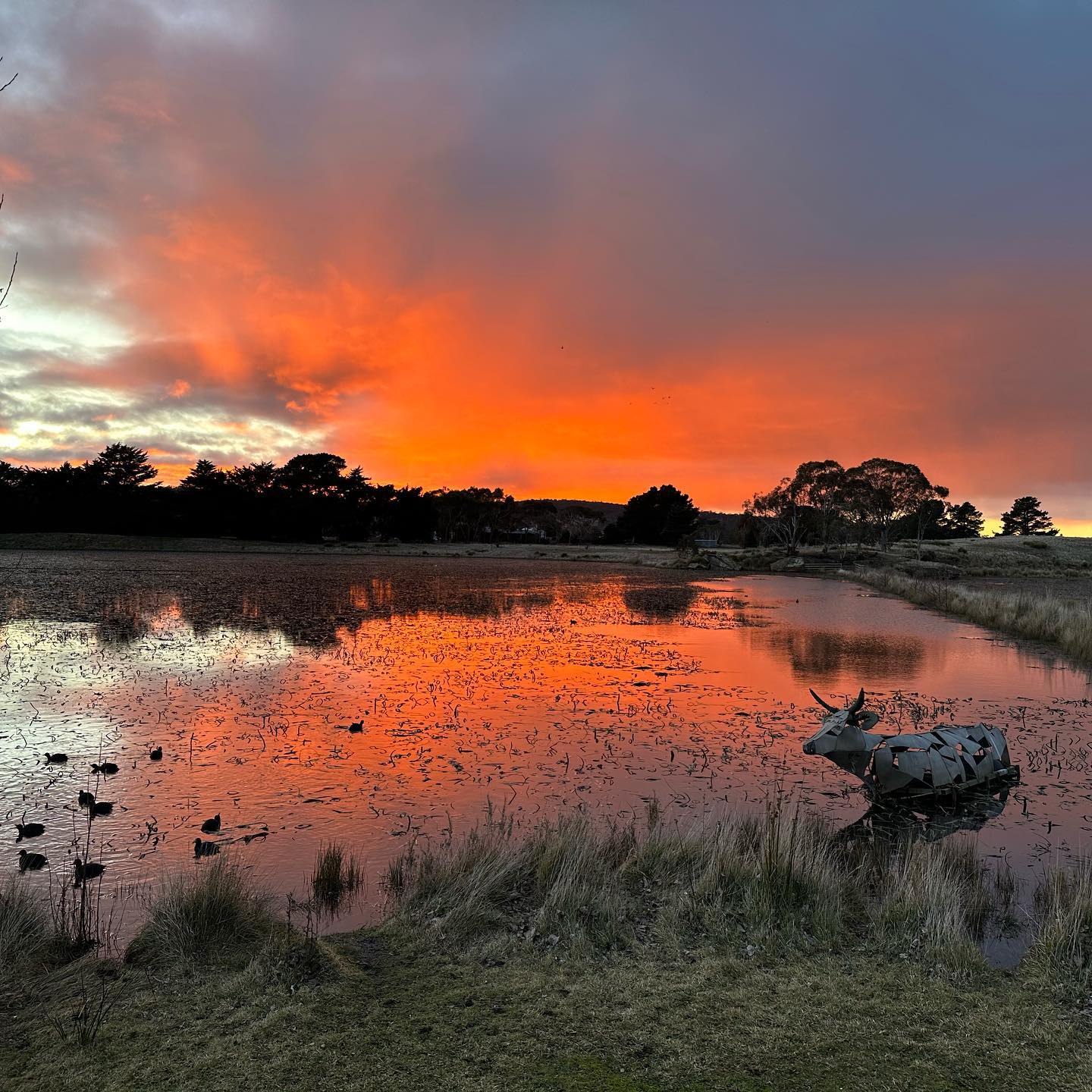Lake Dulverton Oatlands Tasmania Vintage Car tours